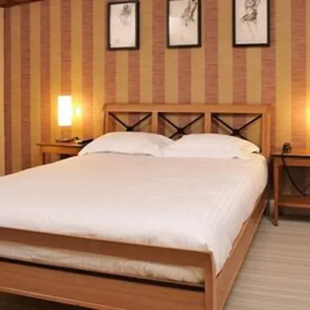 Hotel Du Forez Saint-Galmier