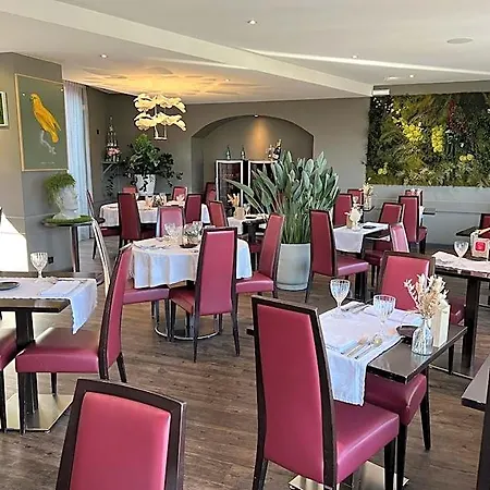 Hotel Du Forez