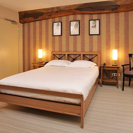Hotel Du Forez Saint-Galmier